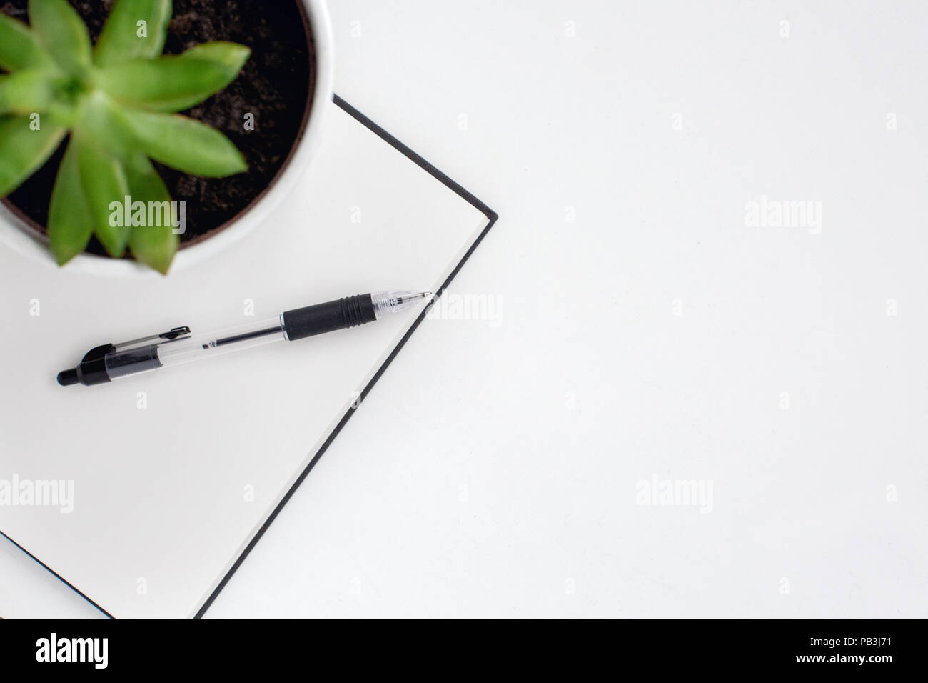 Flat lay of desk top from above with empty notebook, pen and succulent on white Stock Photo