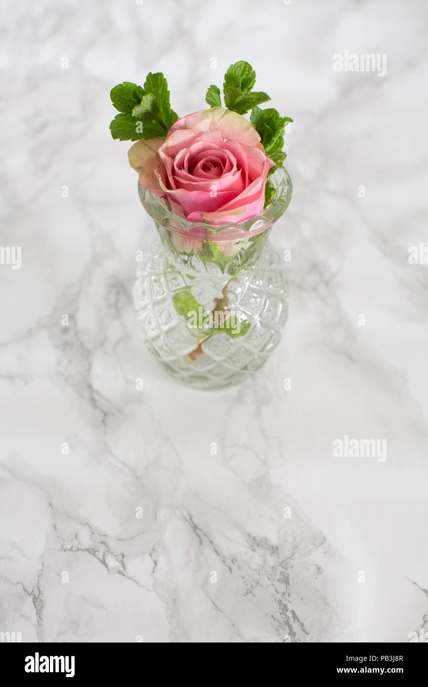 Rose and mint in a glass vase Stock Photo