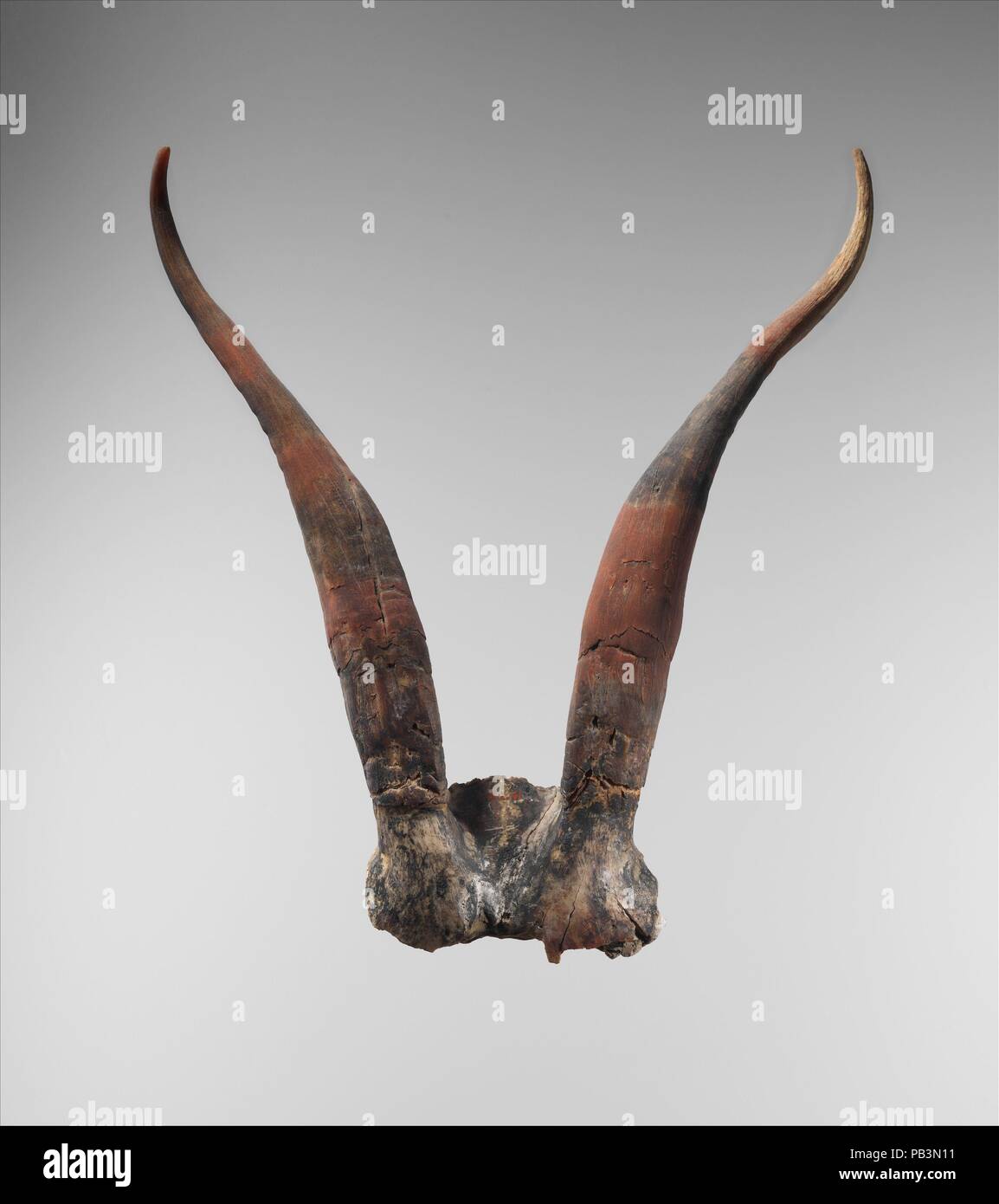 Bucrania skulls with antlers. Dimensions: w. of antlers 21.4 cm. (8 7/8 in). Dynasty: Dynasty 14-17. Date: ca. 1640-1550 B.C.. Museum: Metropolitan Museum of Art, New York, USA. Stock Photo