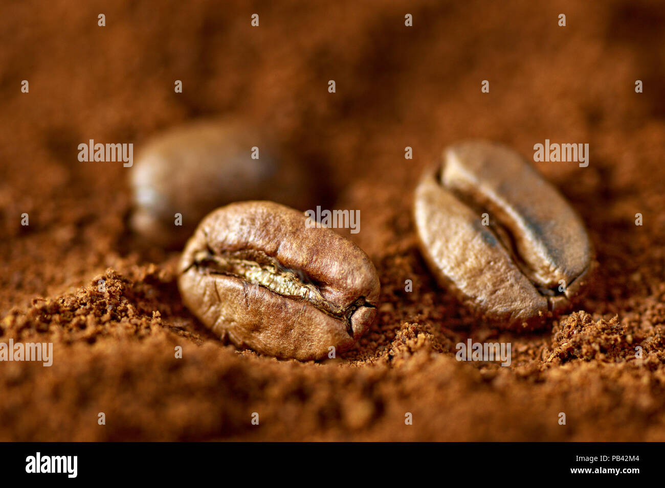 Close-up photo of roasted brown coffee beans on textured background of ...
