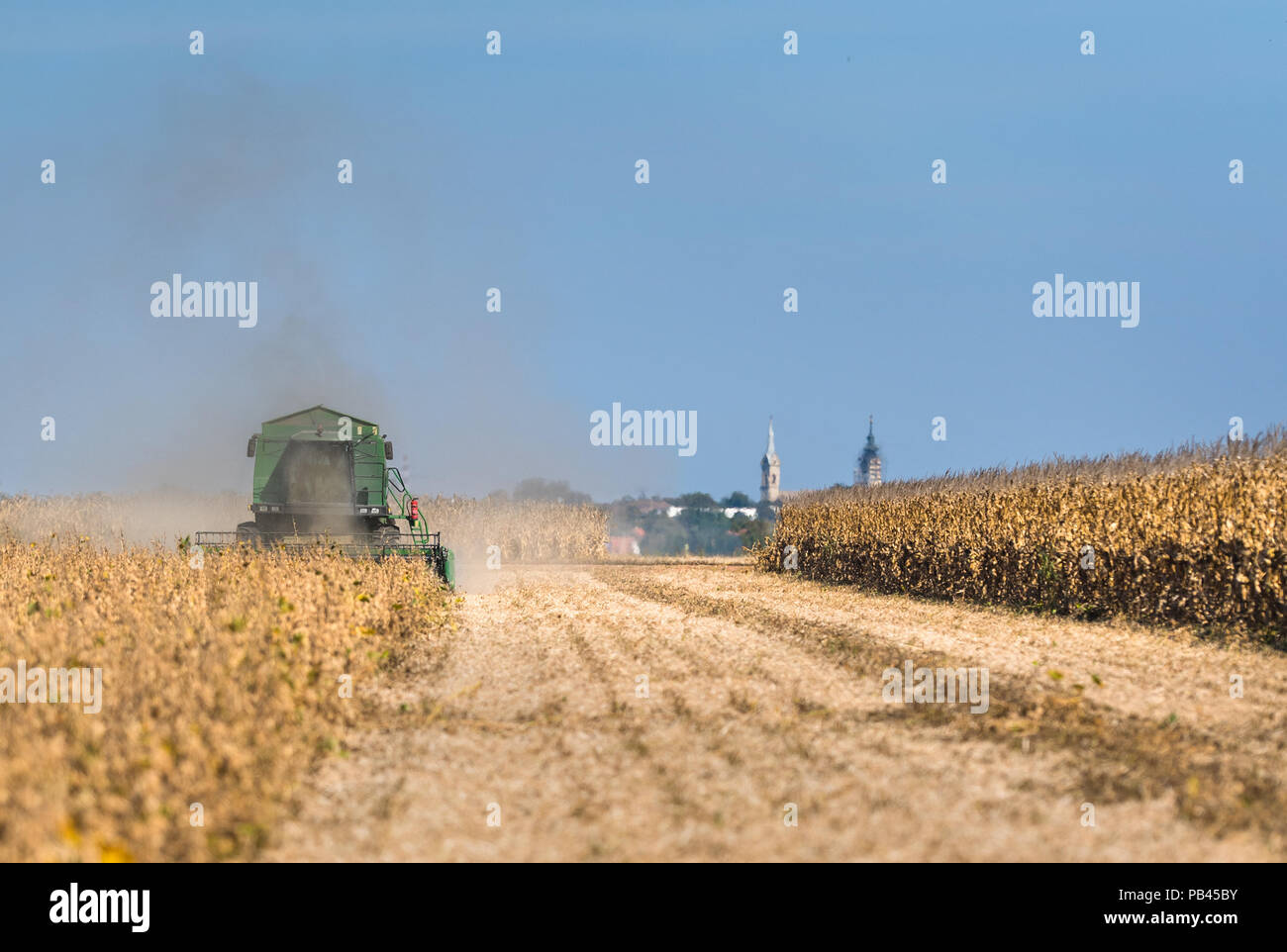 Harvesting of soybean field with combine Stock Photo Alamy