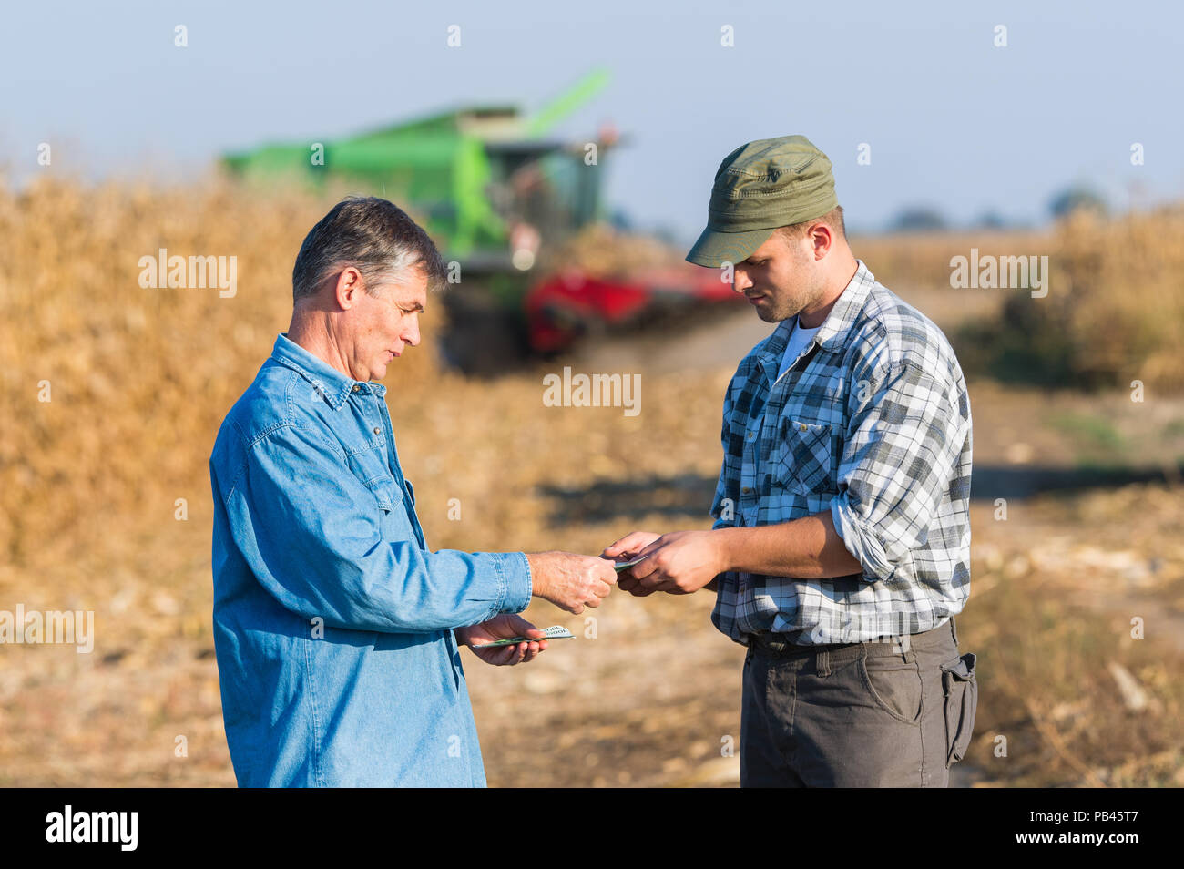 Businessman standing grain field hi-res stock photography and images ...