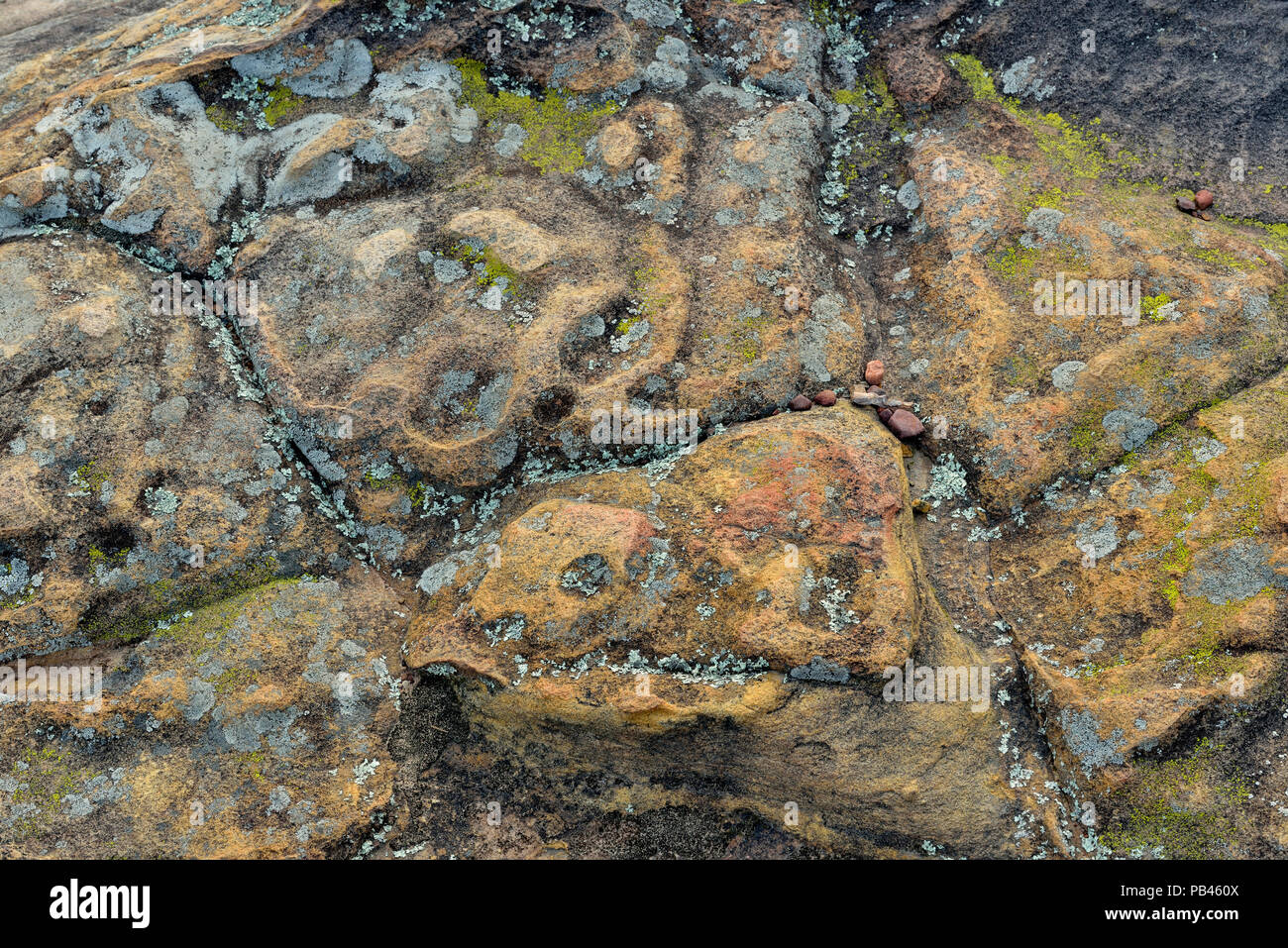 Weathered Hartshorne Sandstone rocks at Rock House Cave Turtle Rocks
