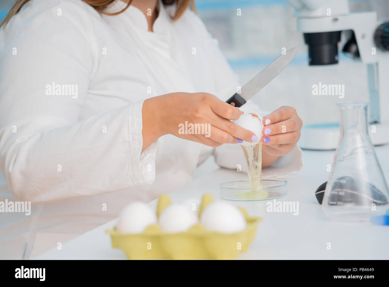 Eggs in quality inspection lab Stock Photo Alamy