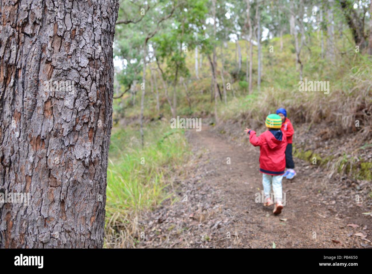 Children walking down the path to Little millstream falls, Millstream