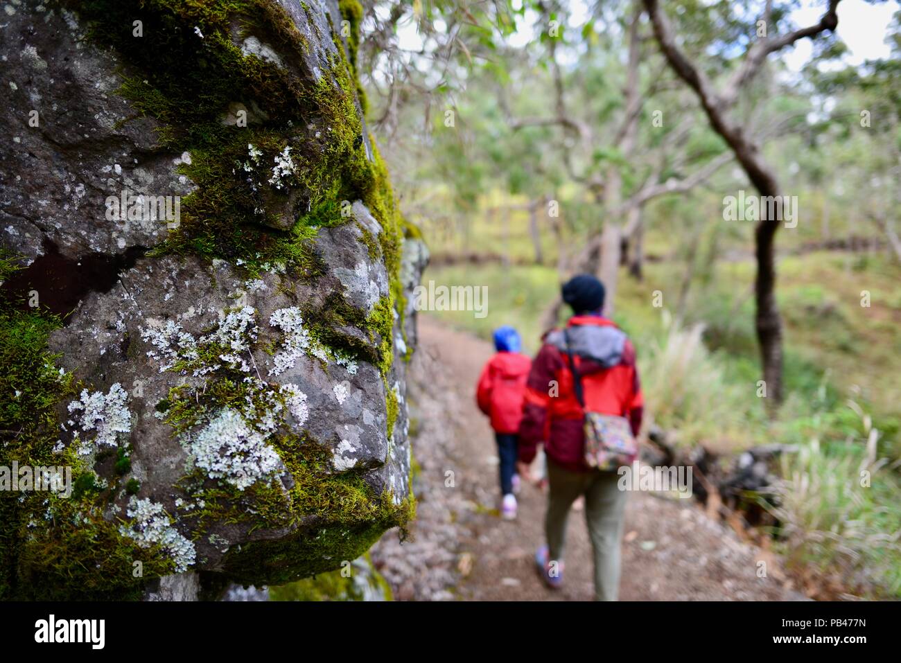 Children walking down the path to Little millstream falls, Millstream