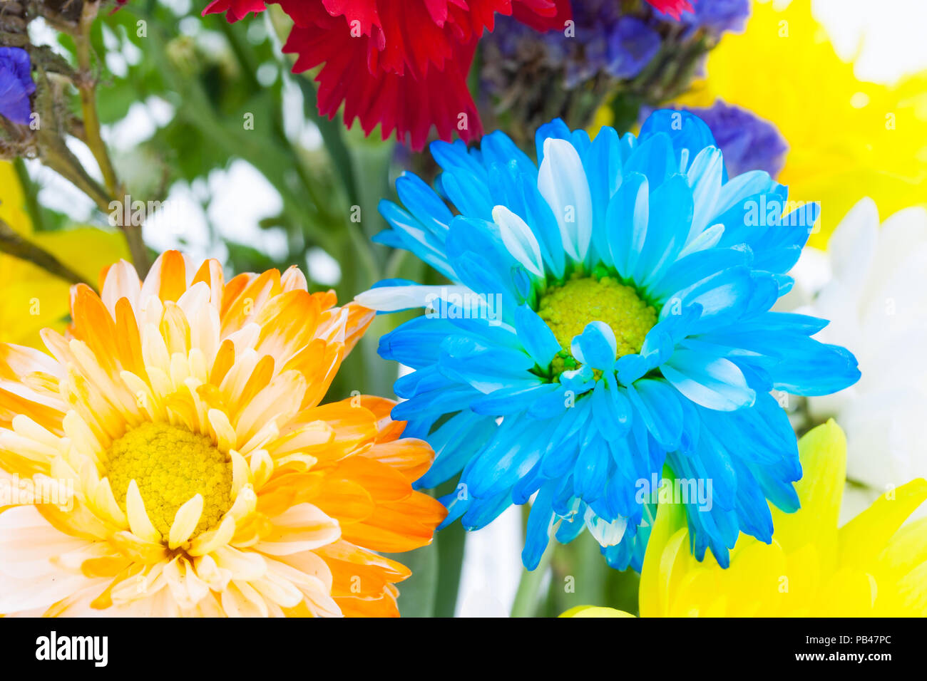 Colorful flower bouquet arrangement in vase isolated on white