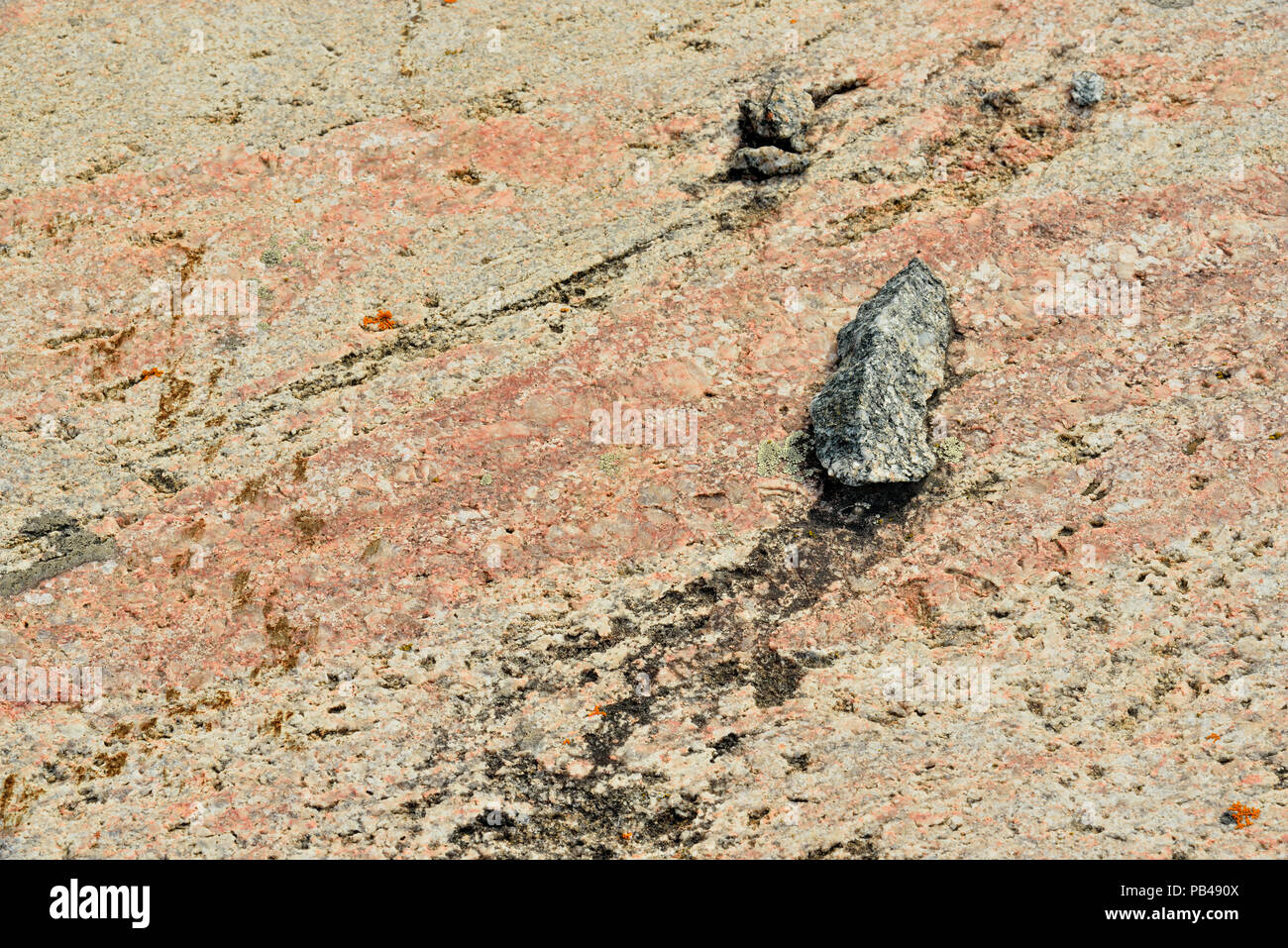Precambrian rock outcrops with lichens, near Yellowknife, Northwest Territories, Canada Stock Photo