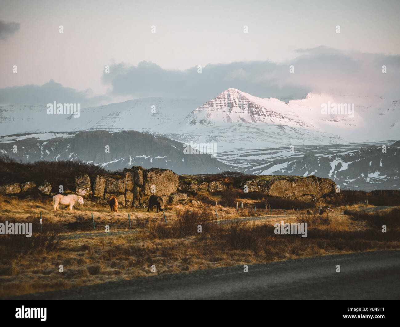 Street Highway Ring road No.1 in Iceland, with view towards mountain. Southern side if the country. Stock Photo