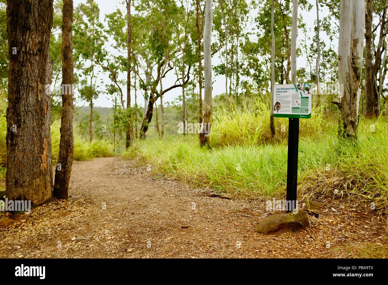 Children walking down the path to Little millstream falls, Millstream