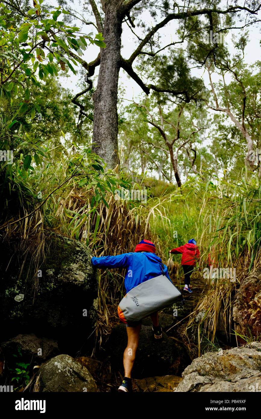 Children walking down the path to Little millstream falls, Millstream