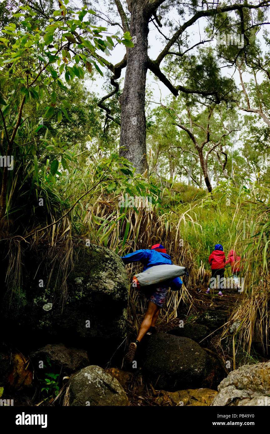 Children walking down the path to Little millstream falls, Millstream