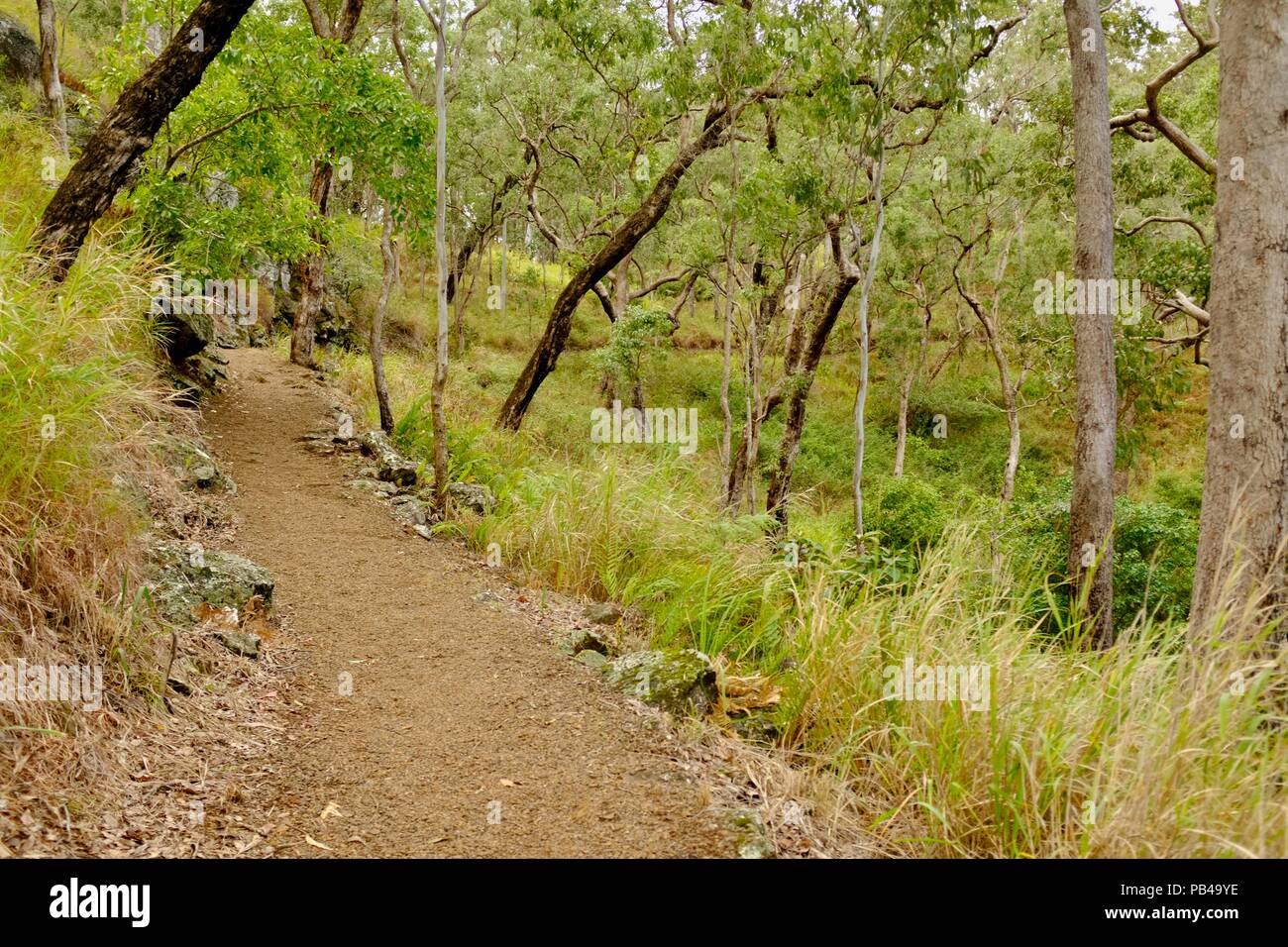 Children walking down the path to Little millstream falls, Millstream