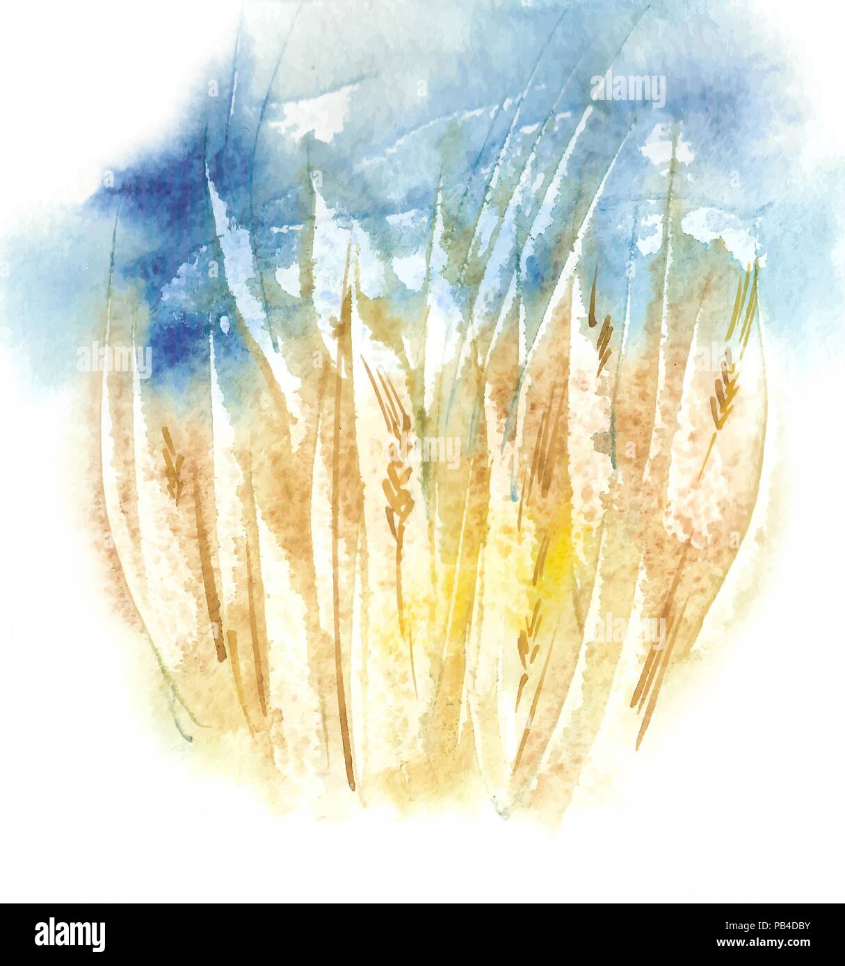 Watercolor Organic Eco Friendly Wheat Field Before The Storm. Vector Background Stock Vector