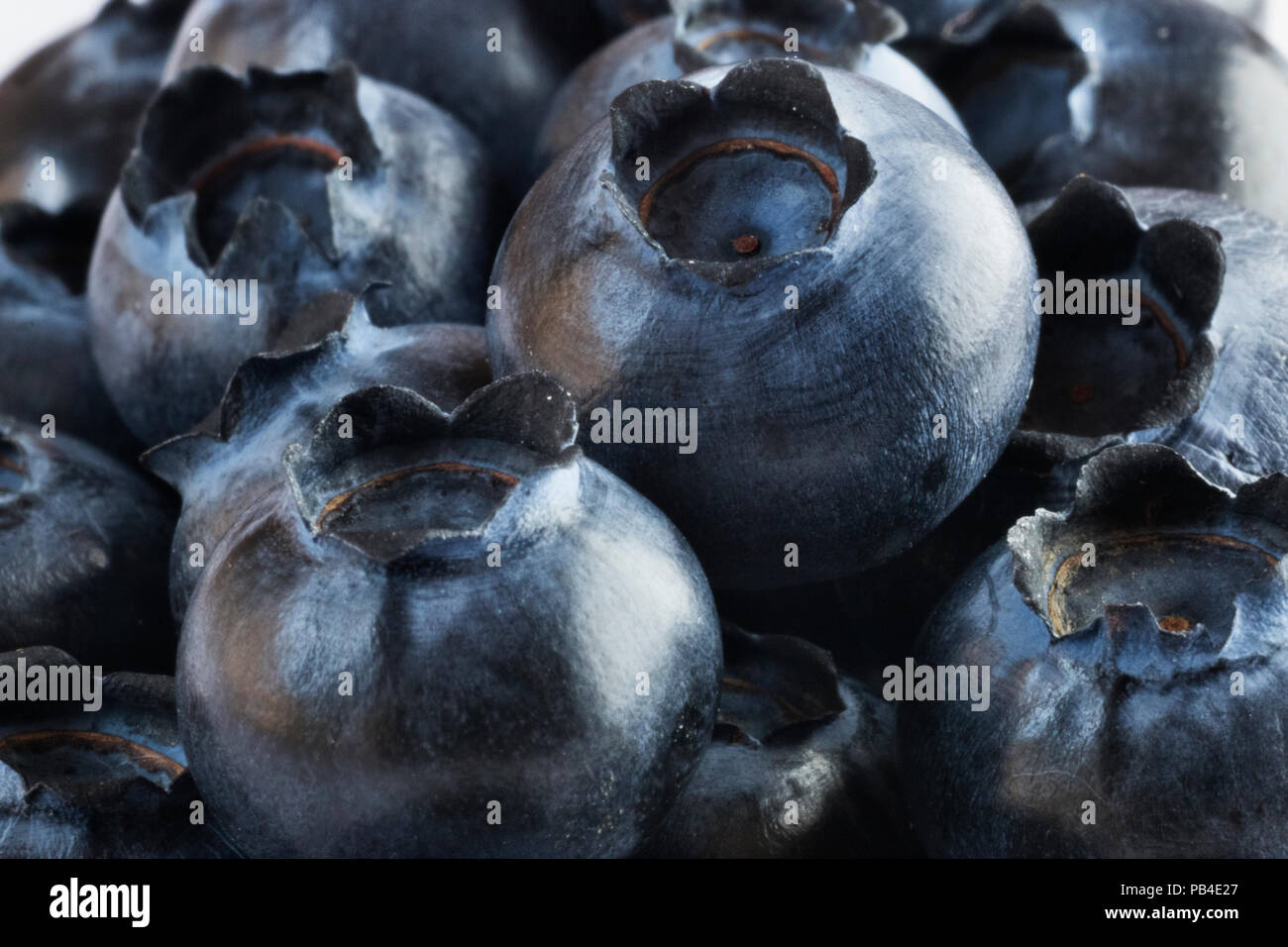 A lot of bilberries ,studio shot ,selective focus ,light contrast Stock Photo