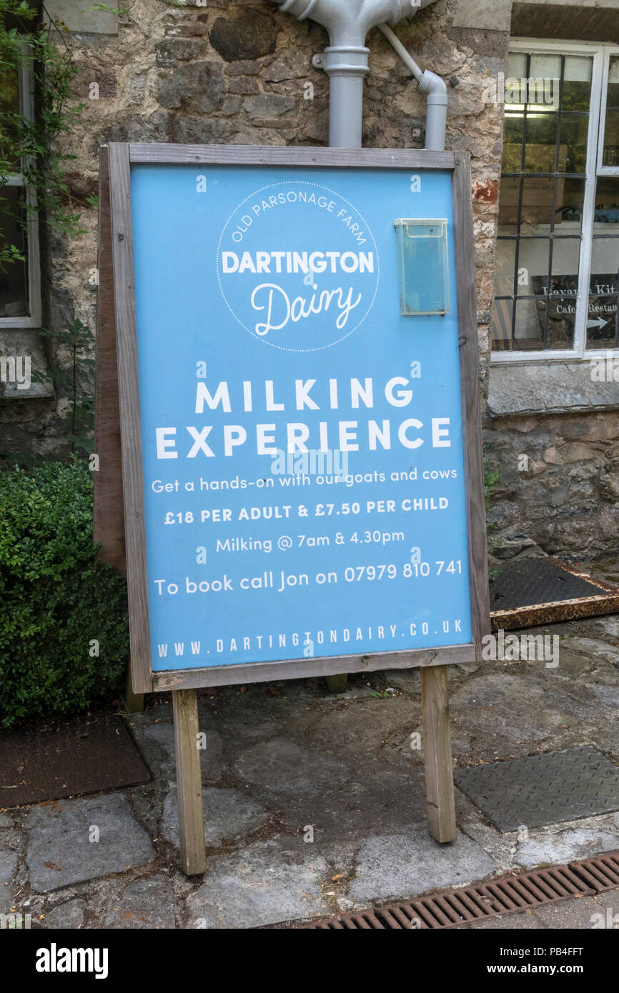 Dartington Dairy and Milking Experience at The Shops, a rustic retail park at Dartington.Milk a cow or goat. DIY milking. Stock Photo