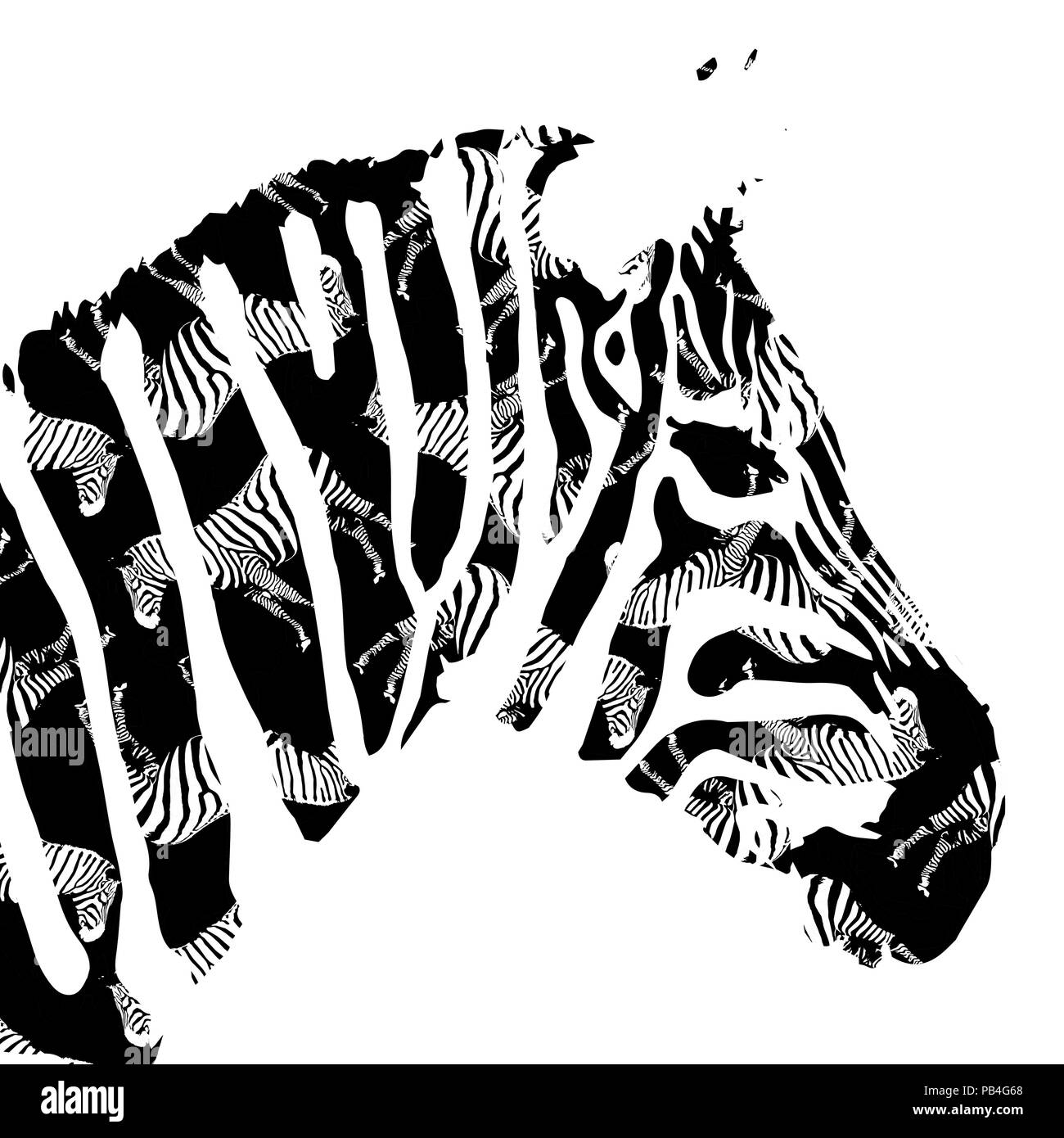 Vector Illustration Black and White Portrait of Zebra Stock Vector