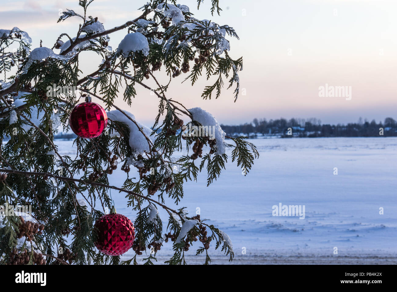 Two red Christmas ornaments hanging on a cedar tree in the snowy landscape in winter Stock Photo