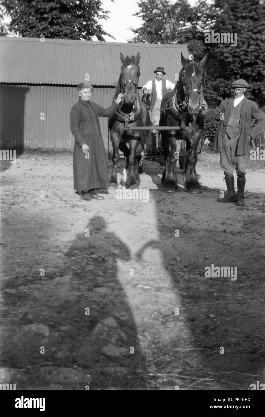In a farmyard, with a metal barn in the background, a farmer, farmers wife and farm hand pose with two working horses.The Shadow of the photographer can be seen in the foreground. Image taken circa 1920 Stock Photo