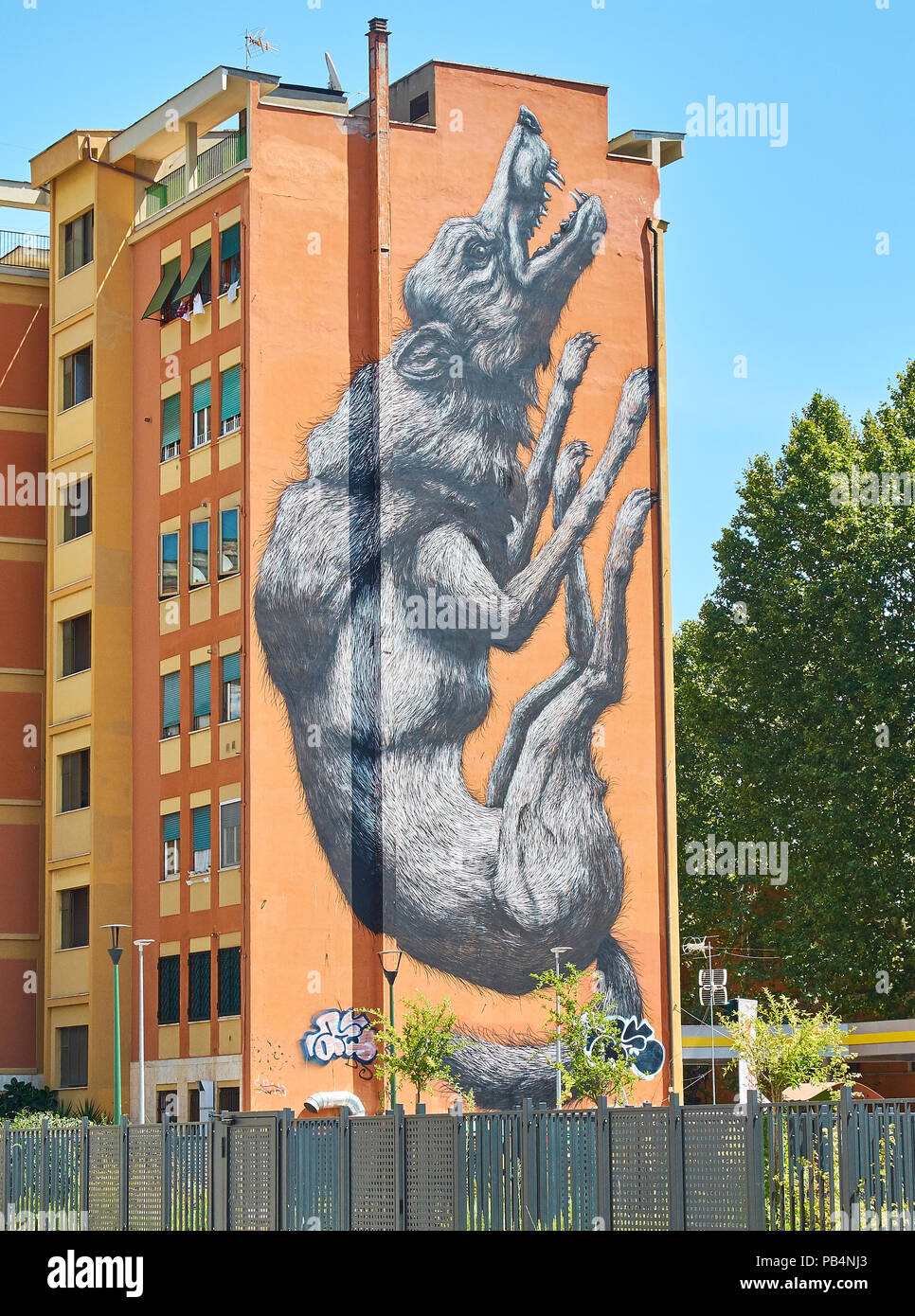 Graffiti in rome hires stock photography and images Alamy