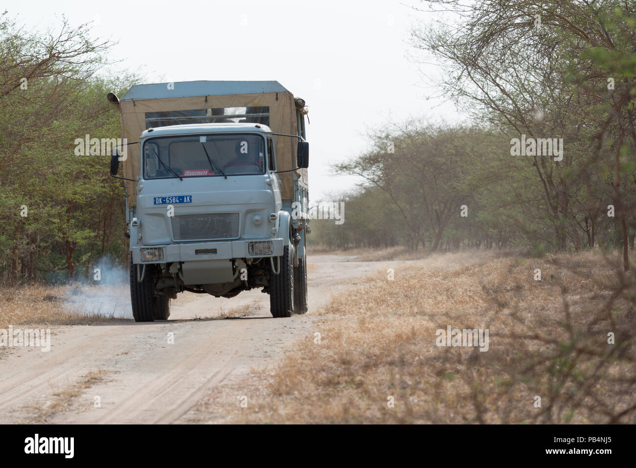 Going on Safari at Bandia Reserve, Senegal, West Africa Stock Photo