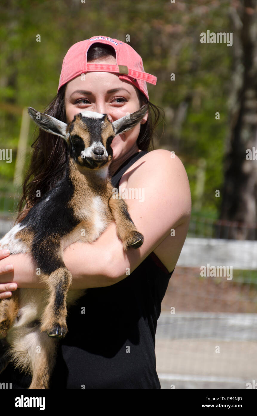 Woman cuddling Nigerian baby Goat, Cumberland Maine, USA Stock Photo
