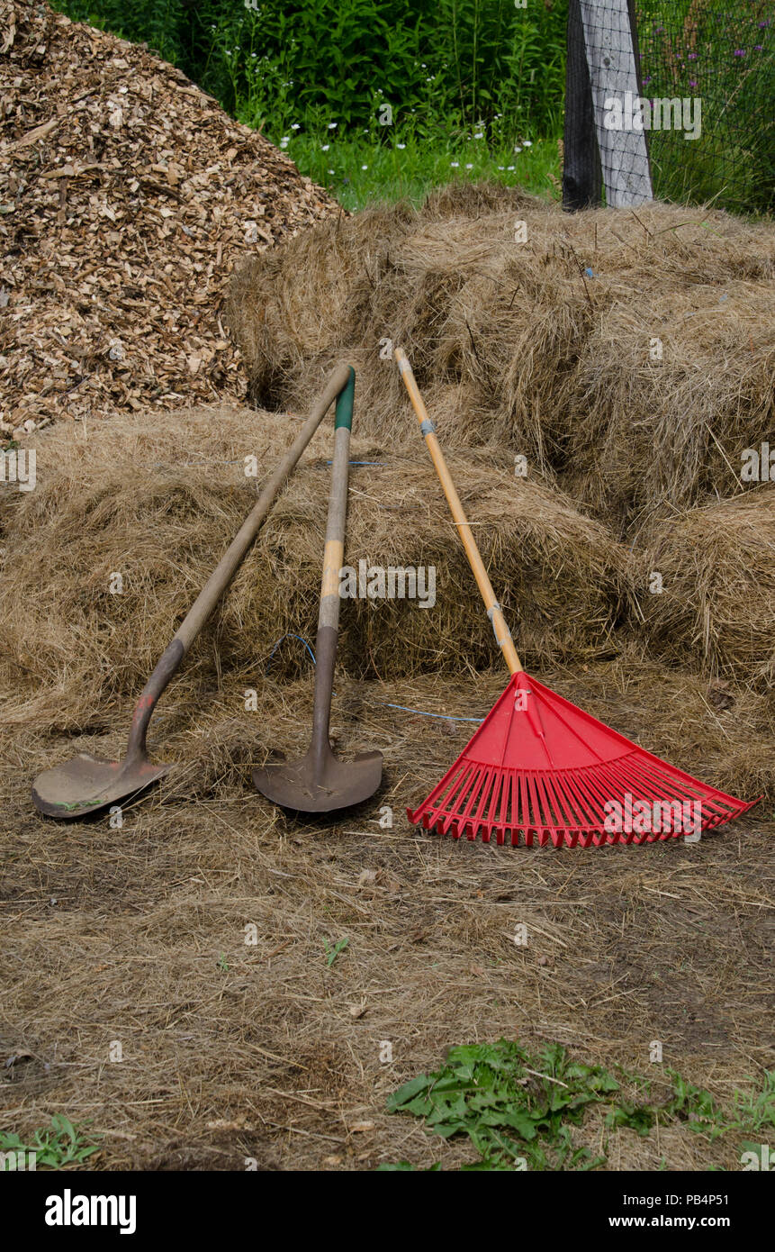 Tools of the garden on hay, Community Garden, Maine, USA Stock Photo