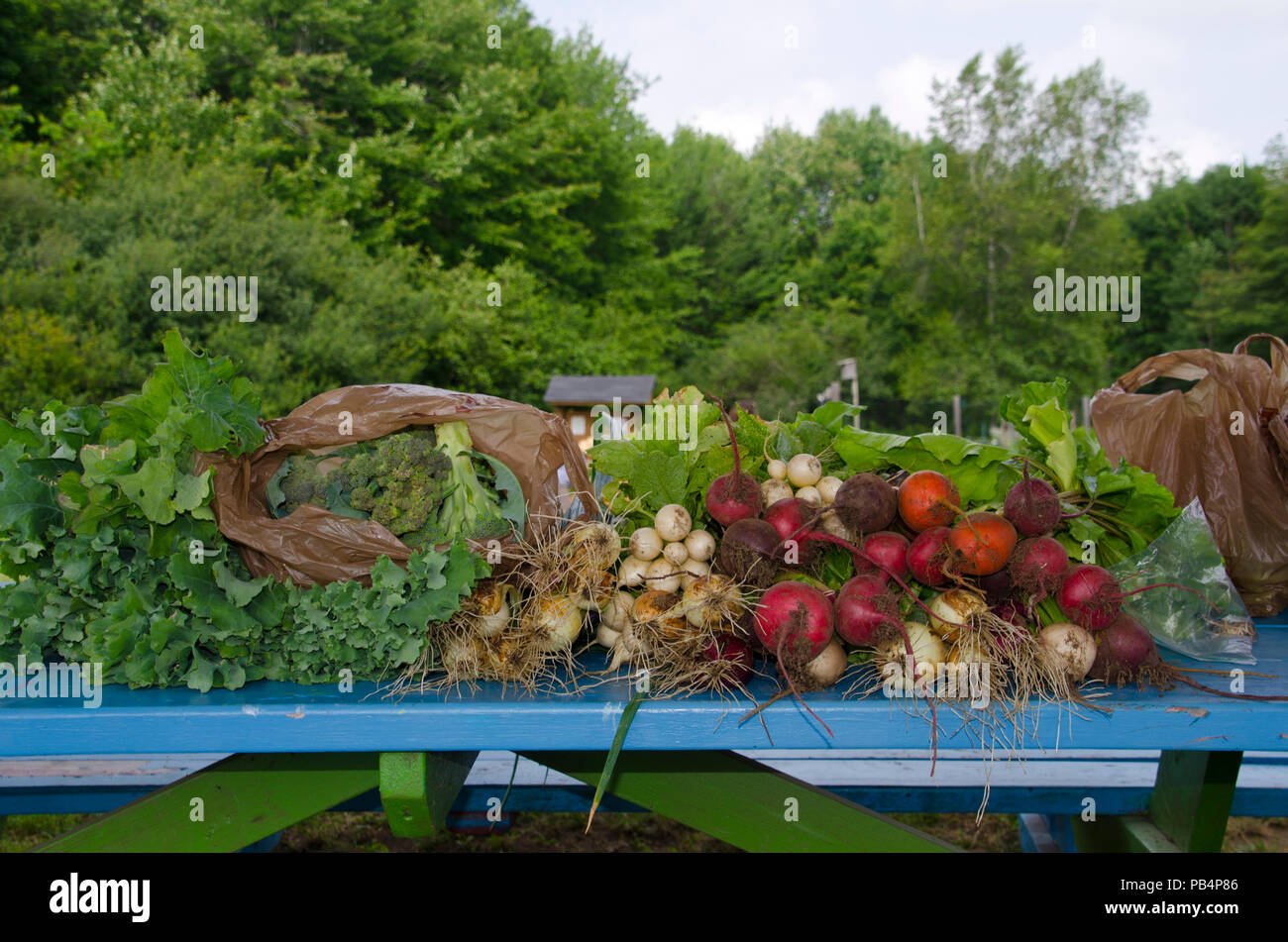 Havest hires stock photography and images Alamy