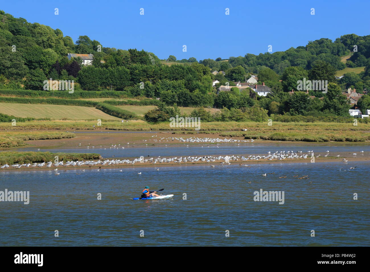 Kayakers on the river Axe tidal estuary near town of Seaton in East Devon Stock Photo