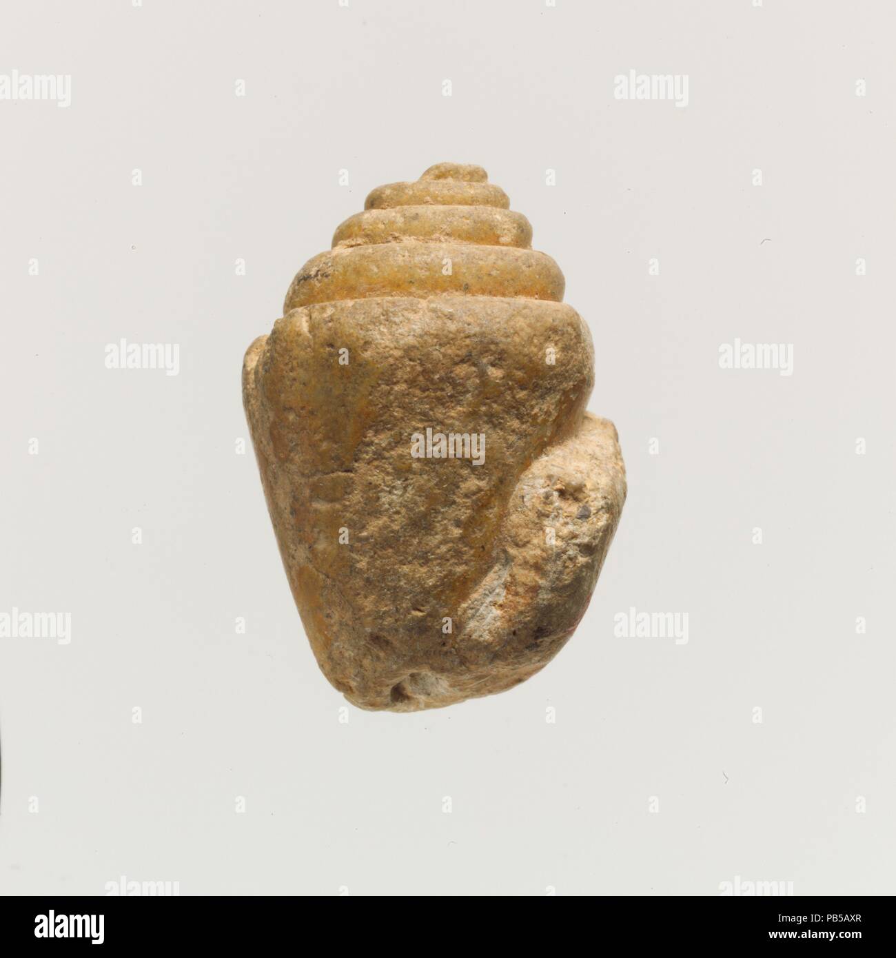 Terracotta shell. Culture: Minoan. Dimensions: L. 1 1/4 in. (3.3 cm ...
