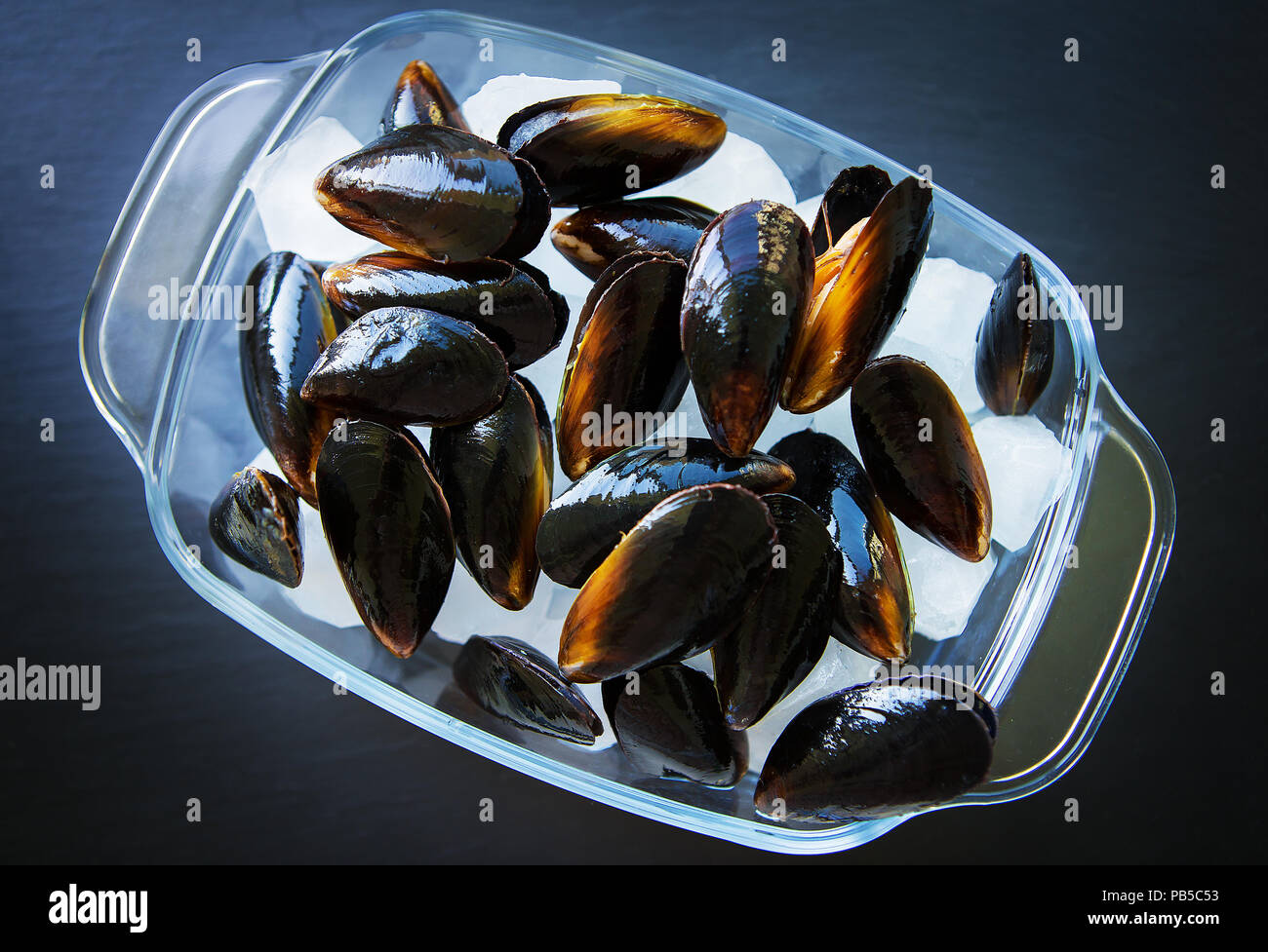Very tasty and fresh mussels on ice cubes Stock Photo Alamy