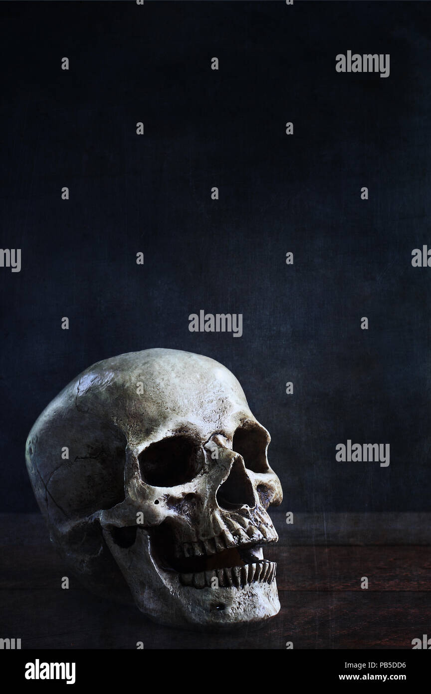 Halloween human skull in front of black background with space for text. Stock Photo