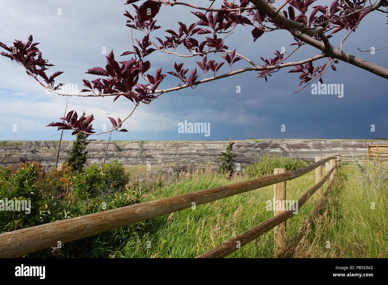 Canadian badlands hires stock photography and images Alamy