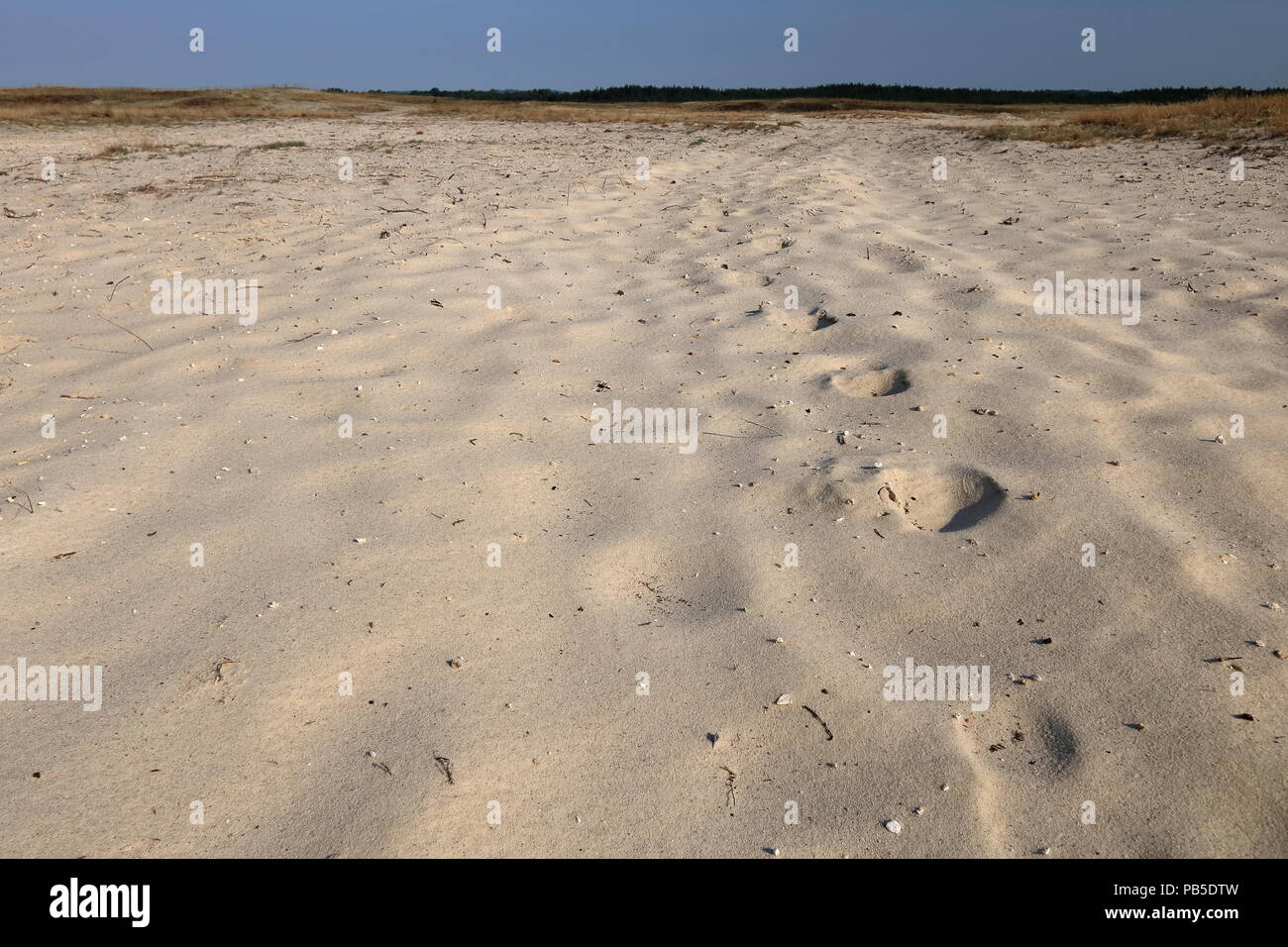 Empty sandy desert, blue sky, Bledowska Desert nearby Klucze in Poland, nobody, thin line of dry grass and green on horizon Stock Photo