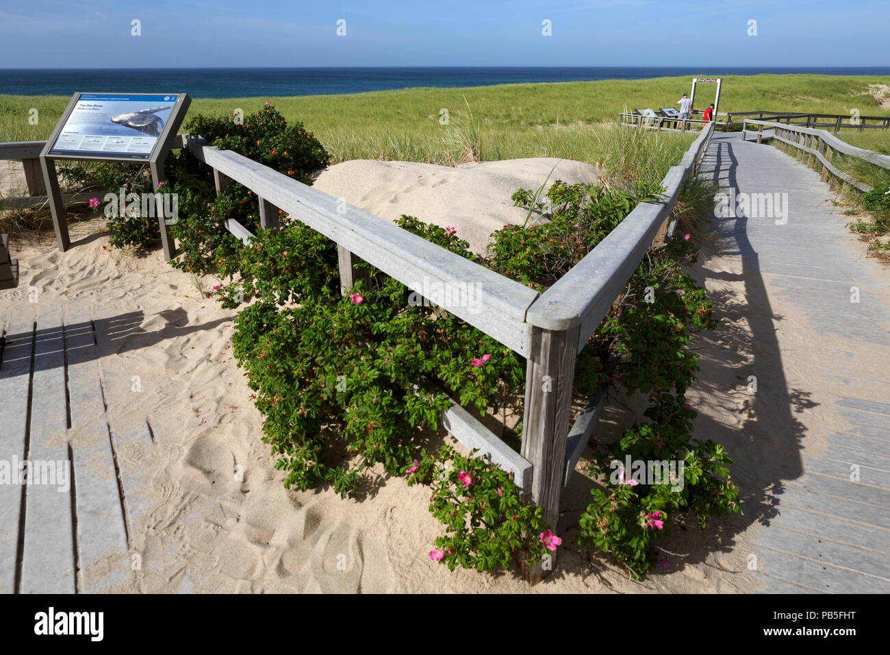 Race Point Beach, Cape Cod National Seashore, Provincetown, Massachusetts Stock Photo Alamy
