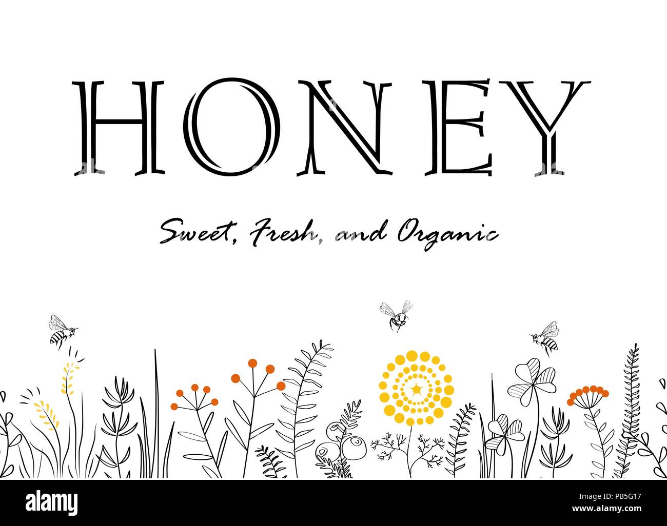 Vector Nature Seamless Background With Hand Drawn Wild Herbs