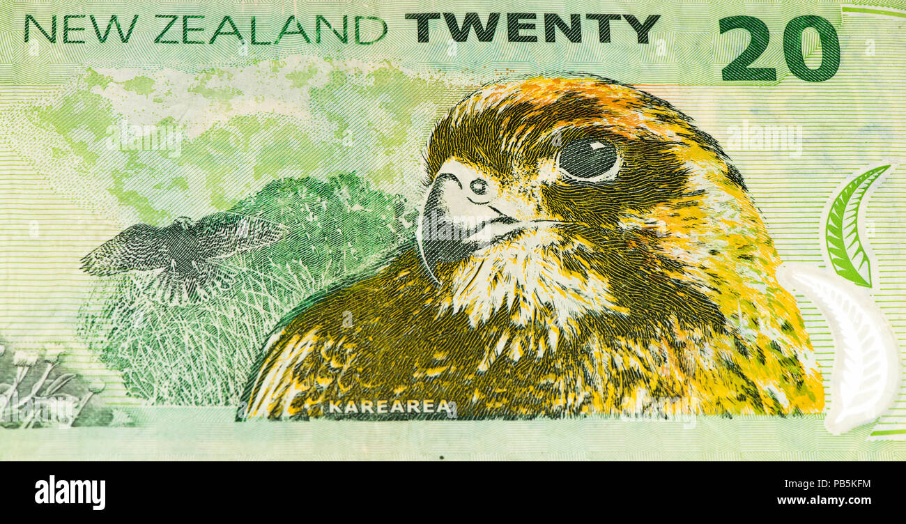 20 New Zealand dollar bank note. New Zealender dollar is the national