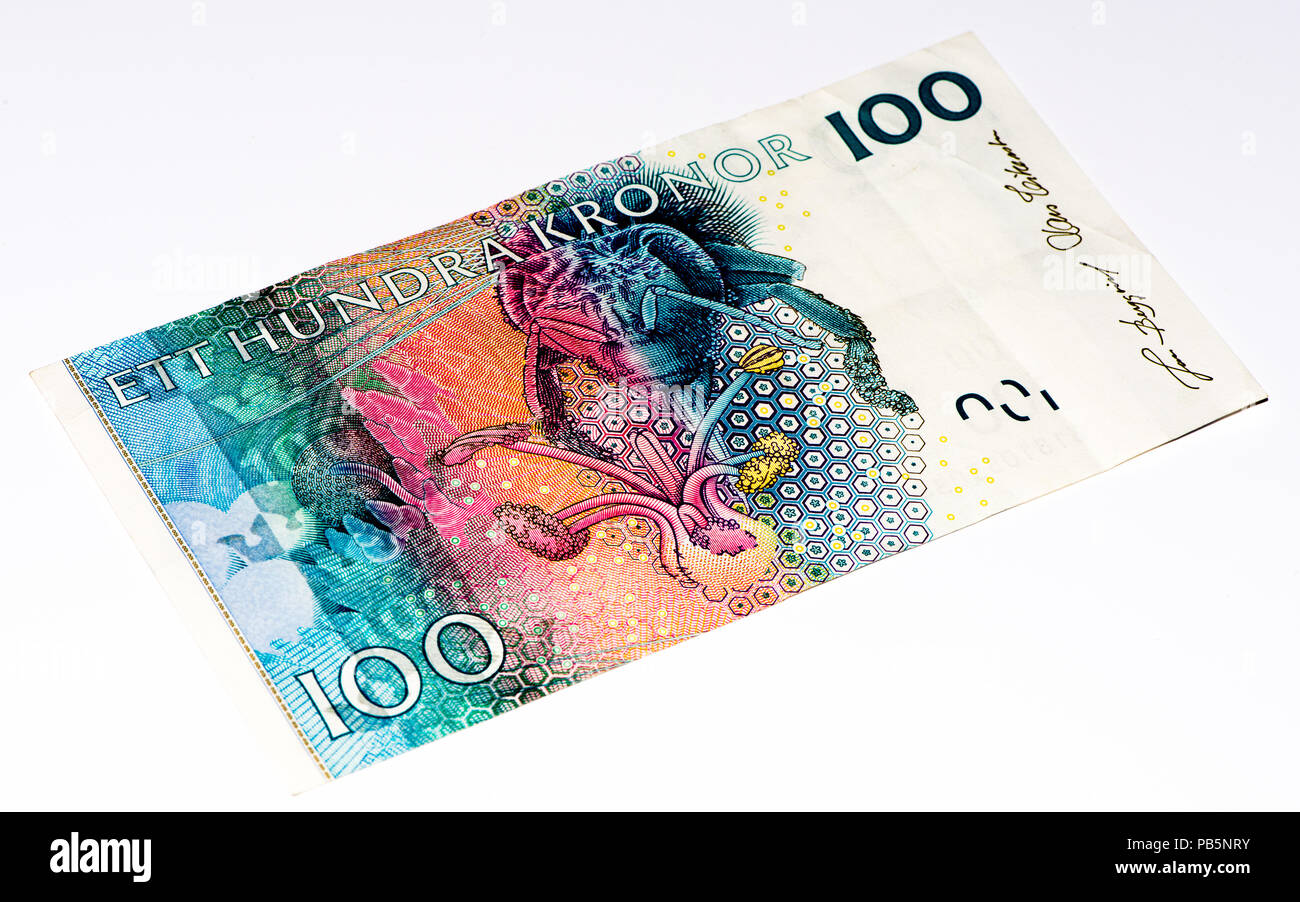 100 Swedish Crown Bank Note Swedish Crown Is The National