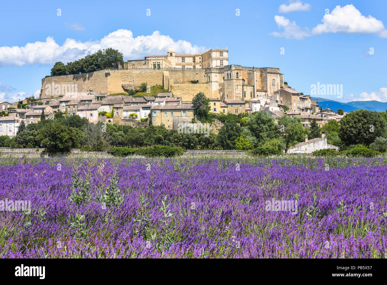 village Grignan situated on a hill with lavender, Provence, France, village with castle Château de Grignan, in Drôme department, region Auvergne-Rhône Stock Photo