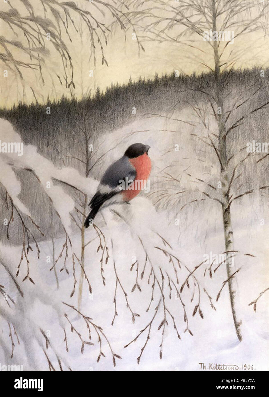 Kittelsen  Theodor - Bullfinch on Frosty Twig Stock Photo