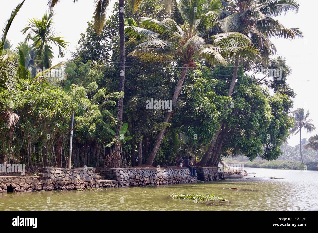 Island in the scenic backwaters in rural Kerala (India) with tropical