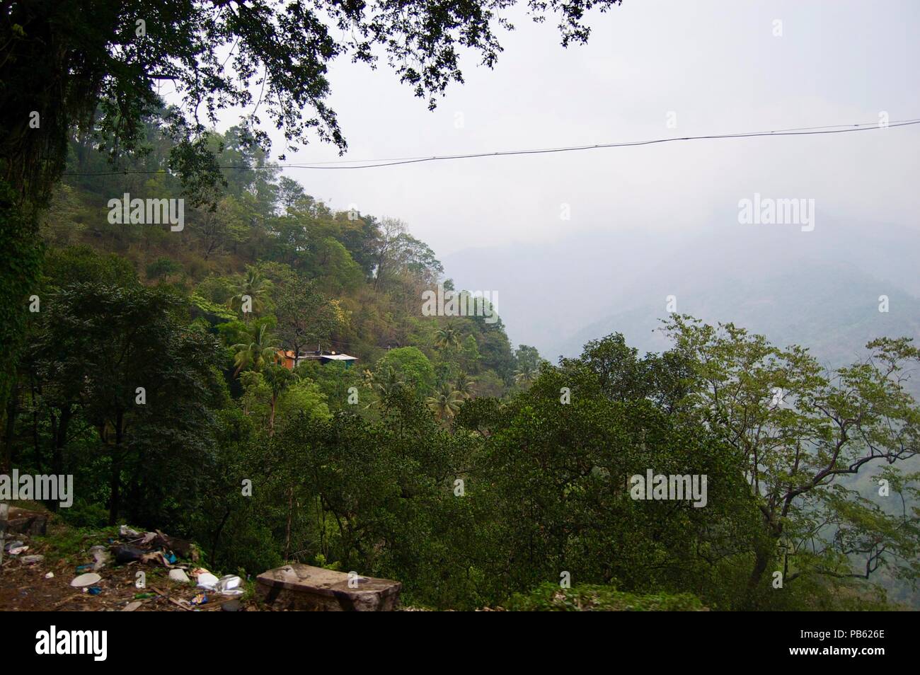 Magnificent valley view in Kerala (rural India): Landscape with idyllic unspoilt nature, trees forming a lush green jungle and a foggy sky Stock Photo