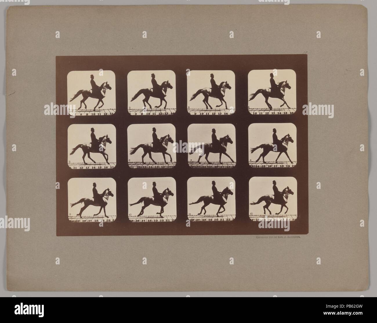 Attitudes of Animals in Motion. Artist: Eadweard Muybridge (American, born Britain, 1830-1904). Dimensions: Image: 6 5/16 × 9 15/16 in. (16 × 25.3 cm)  Mount: 8 13/16 × 12 5/8 in. (22.4 × 32 cm). Date: 1879, printed 1881.  In 1872, Leland Stanford, former governor of California and president of the Central Pacific Railroad, asked Eadweard Muybridge to photograph a horse galloping at full speed. This simple request, intended to confirm Stanford's theory that all of the horse's feet were off the ground simultaneously at some point during its stride, launched Muybridge on a lifelong pursuit to re Stock Photo