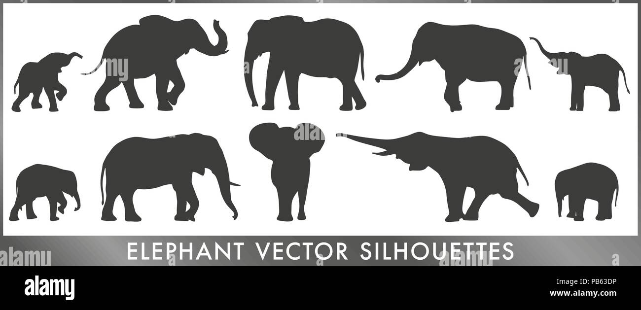 Hoy, Dia Mundial del Elefante. Este fotón de Frans Lanting en Botswana es  brutal. By National Geographic., image size:1300x629