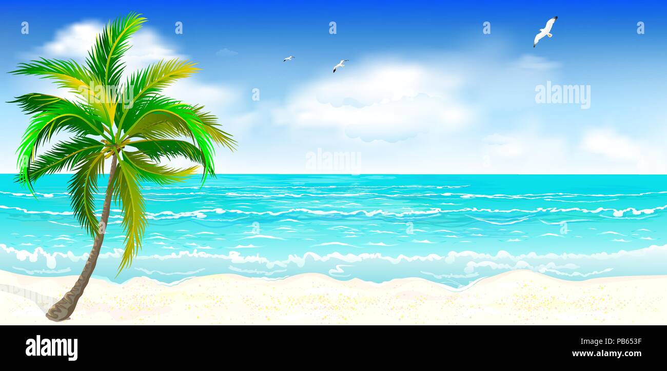 Landscape of the tropical shore. Landscape of the sea shore with palm tree. Sea shore with palm tree, blue sky and white clouds. Palm tree against the Stock Vector