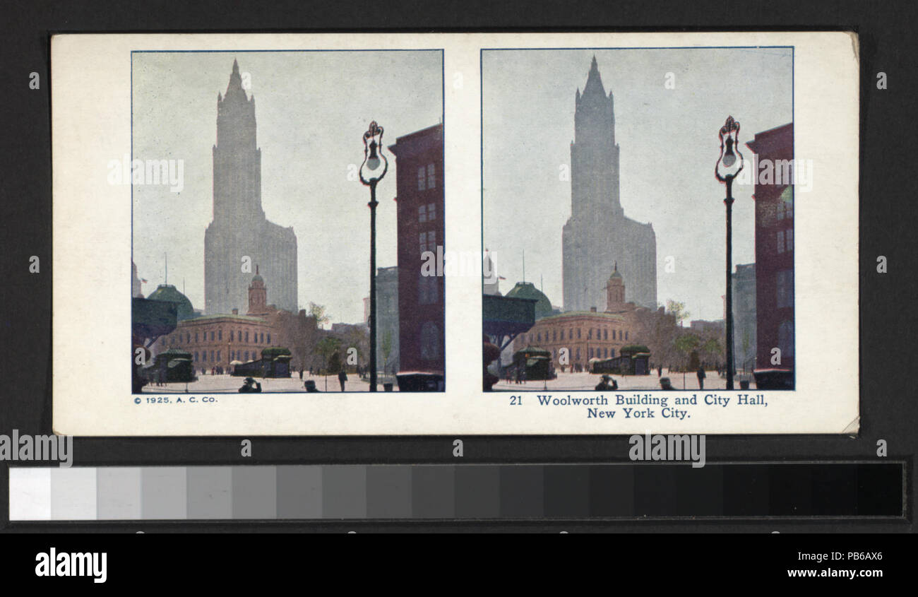 1869 Woolworth Building and City Hall, New York City (NYPL b11708052-G91F198 004F) Stock Photo