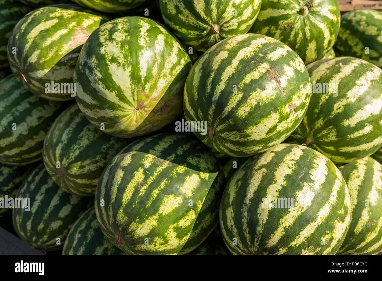 many ripe watermelons on store Stock Photo - Alamy