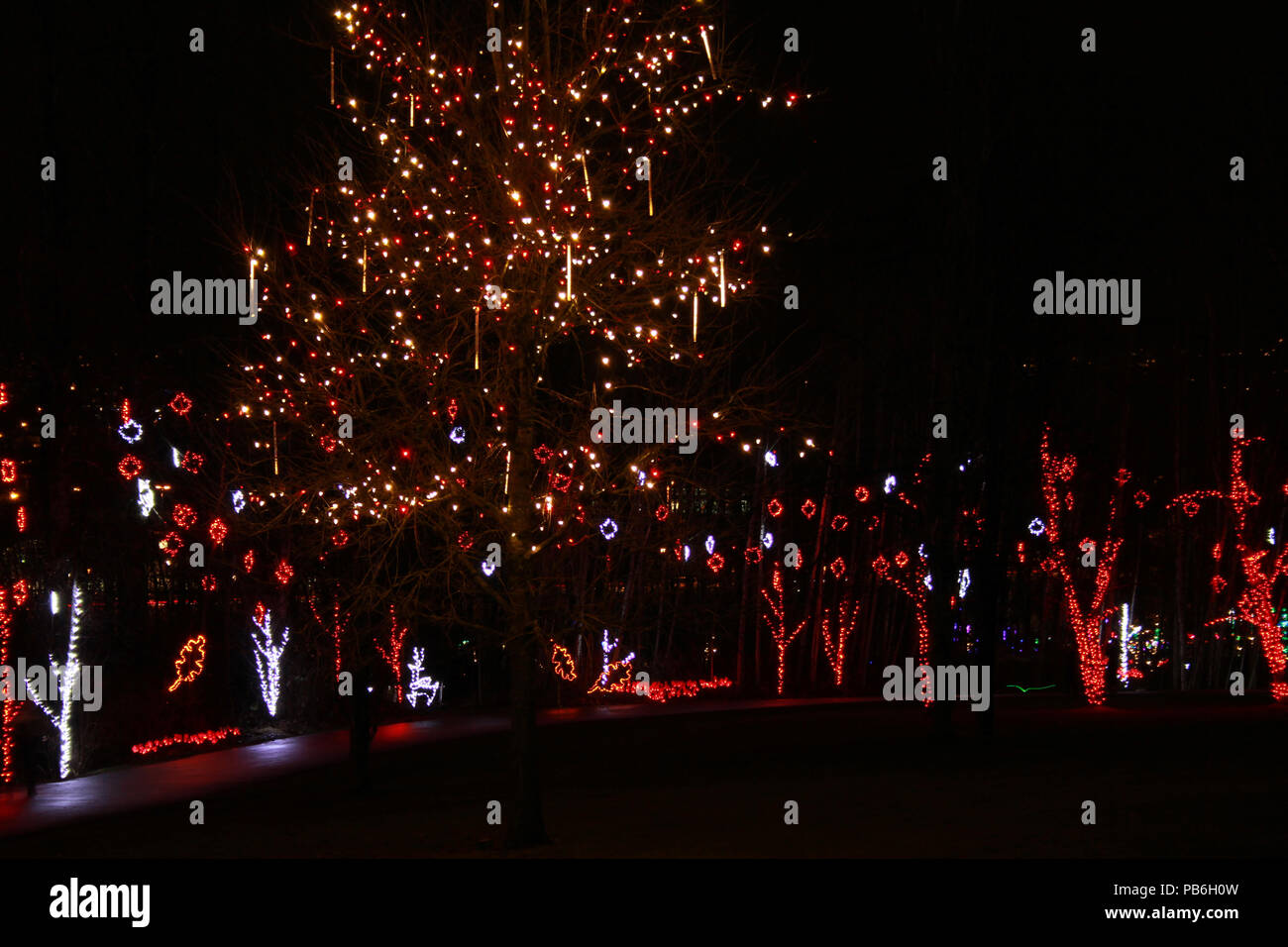 Outdoor Christmas lights along a path Stock Photo - Alamy