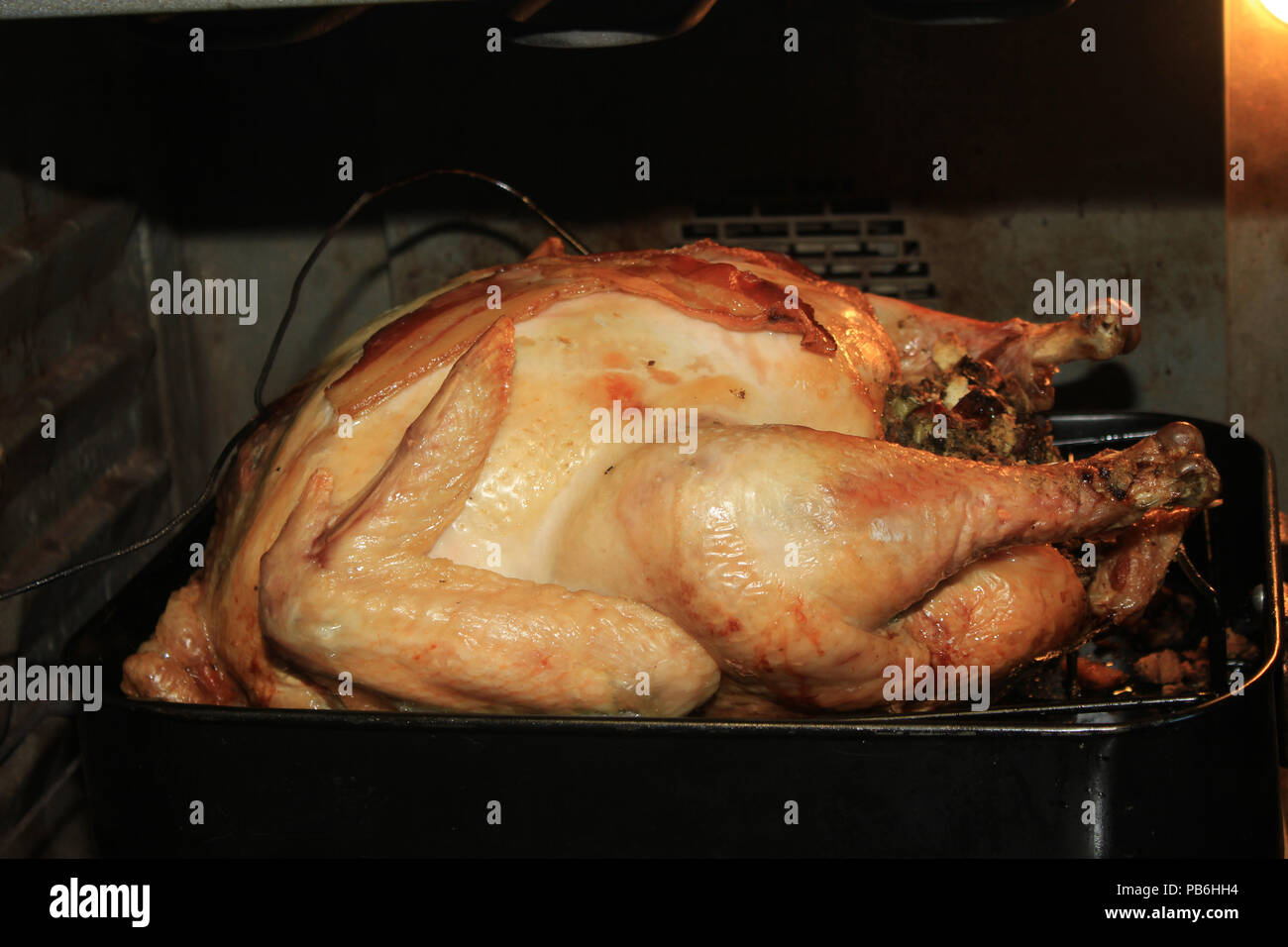 https://c8.alamy.com/comp/PB6HH4/cooked-turkey-with-bacon-in-a-roasting-pan-in-the-oven-PB6HH4.jpg