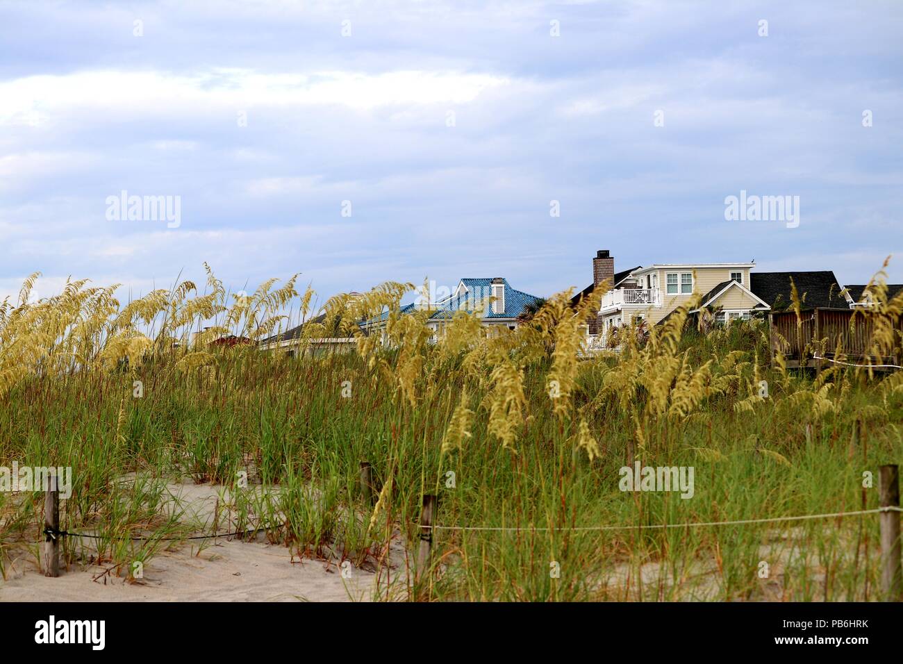 Houses on a beach in North Carolina Stock Photo Alamy